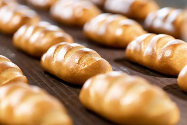 Otomatik üretim hattı fırını fırından fırınlanmış ekmekler