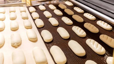 Otomatik üretim hattı fırınında taze pişmiş ekmek. Endüstriyel üretim