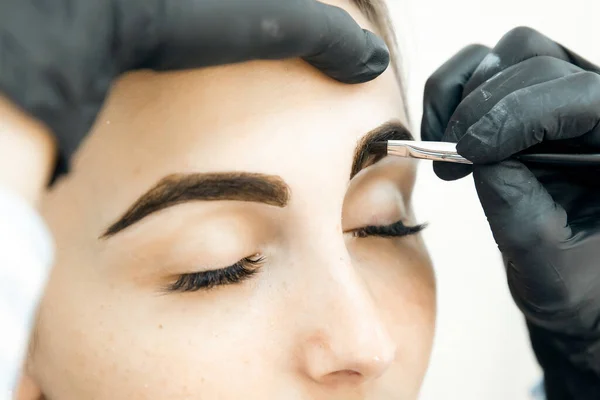 Master tinting of eyebrow hair women, brow correction