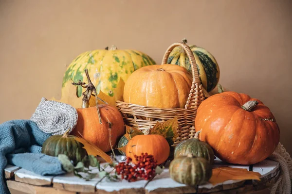 Fondo otoñal, cosecha natural de calabazas naranjas sobre mesa rústica de madera — Foto de Stock