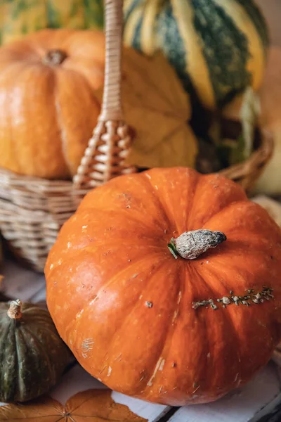 Herbst Hintergrund, natürliche Ernte von Orangenkürbissen auf rustikalem Holztisch — Stockfoto