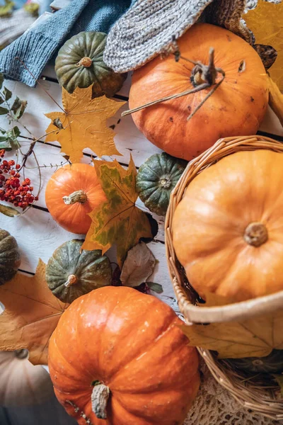 Konzept Herbst natürlichen Hintergrund Draufsicht, Kürbisse in Weidenkorb auf rustikalen Holztisch — Stockfoto