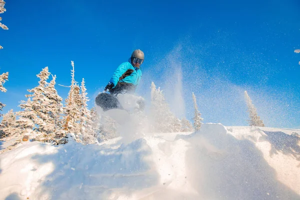 Snowboardcu adam mavi gökyüzüne karşı kış ormanlarında zıplıyor.