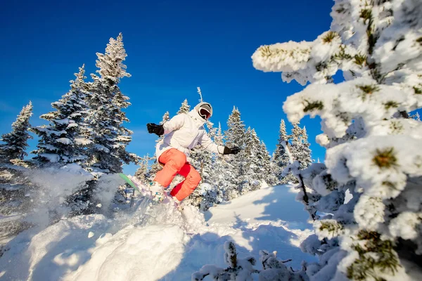 滑雪板上的滑雪者在森林里跳着新雪，飞扬着尘土。阿尔卑斯山滑雪度假村免费提供的服务 — 图库照片