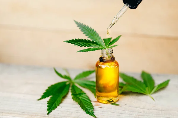 Cannabis CBD oil extracts in jars herb and leaves. Concept medical marijuana — Stock Photo, Image