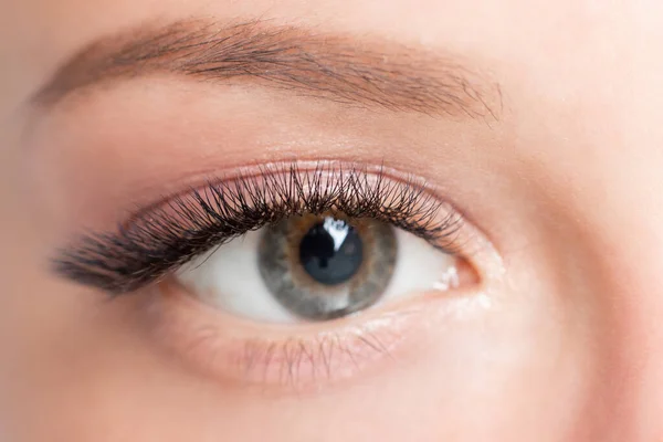 Szempilla hosszabbítási eljárás. Gyönyörű női szemek hosszú szempillák smink közelről — Stock Fotó