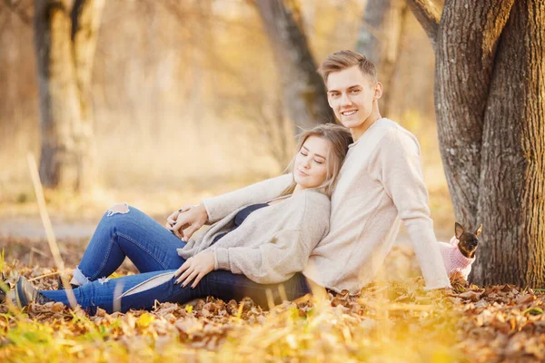 Liebespaar sitzt mit kleinem Hund im Herbstpark und küsst sich. Mädchen hält Ahornblätter, gelber Hintergrund — Stockfoto