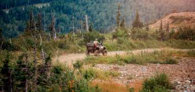 ATV motosikleti yaz tatilinde ormandan off-road 'a gider.