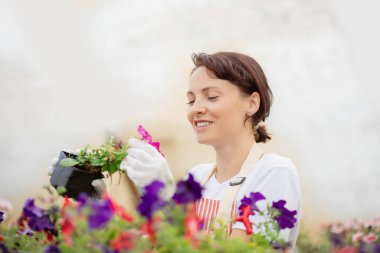 Bahçede çiçeklerle ilgilenmek ve onları beslemek, kadın bahçıvan serada çalışıyor.