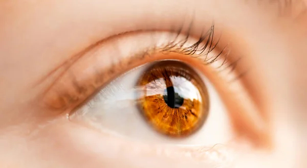 Macro pupil retina colse brown eye of woman — Stock Photo, Image