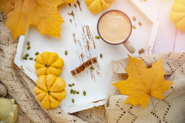 Herbststimmung, Tasse heißen Kaffees von oben steht neben dem Fenster Sonnenlicht gelbes Ahornblatt — Stockfoto