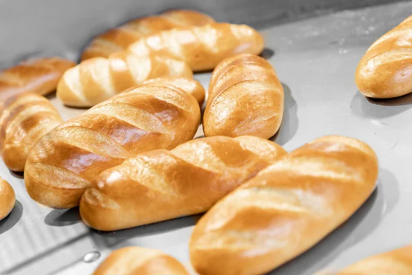 Fırından otomatik üretim hattındaki fırında pişmiş ekmek.