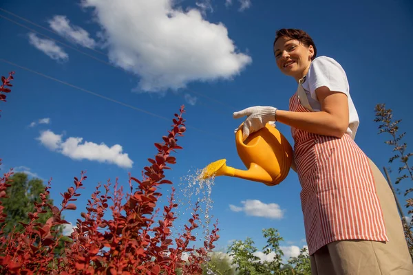 Professionele tuinman vrouw voert besproeiing van de haag in de tuin, zomer zonlicht — Stockfoto