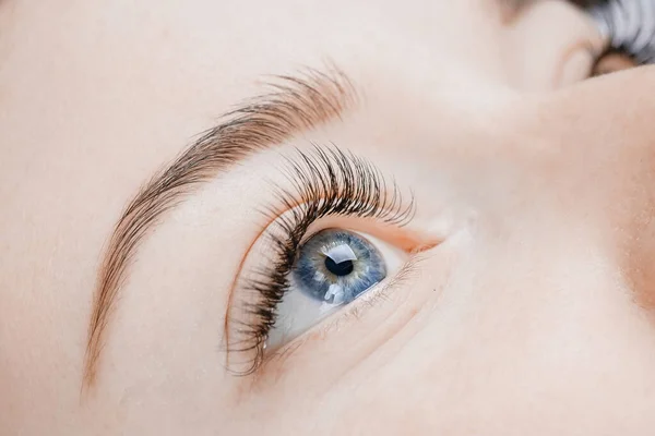 Procedimento de extensão das pestanas. Lindos olhos femininos com longas pestanas, close-up — Fotografia de Stock