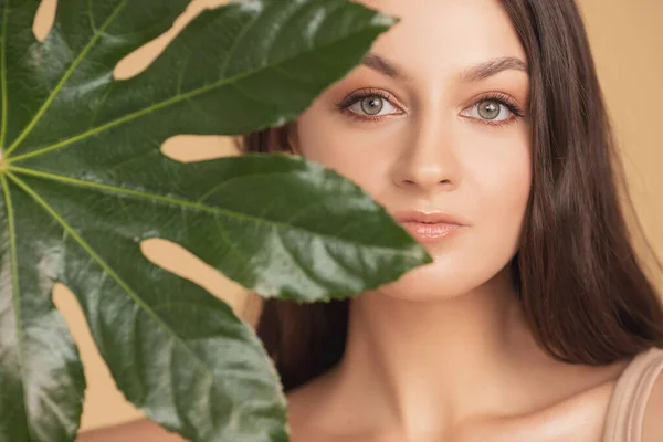 Concept cosmétique de flore naturelle de soins de la peau. Belle femme à la peau lisse dans les feuilles tropicales en studio — Photo