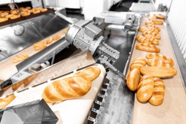 Otomatik üretim hattı fırını fırından fırınlanmış ekmekler