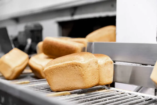 Vers gebakken brood op geautomatiseerde productielijn bakkerij. Vervaardiging uit industrieprodukten — Stockfoto