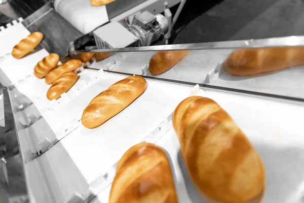 Vers gebakken brood op geautomatiseerde productielijn bakkerij. Vervaardiging uit industrieprodukten — Stockfoto