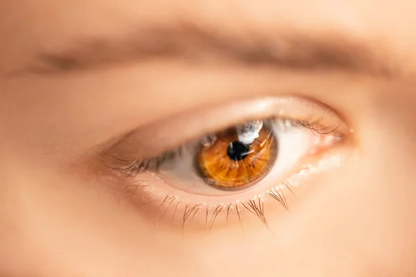 Cílios laminados para menina de olhos castanhos, cuidados de beleza rosto — Fotografia de Stock