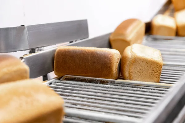 Bakat bröd på automatisk produktionslinje bageri från varm ugn — Stockfoto