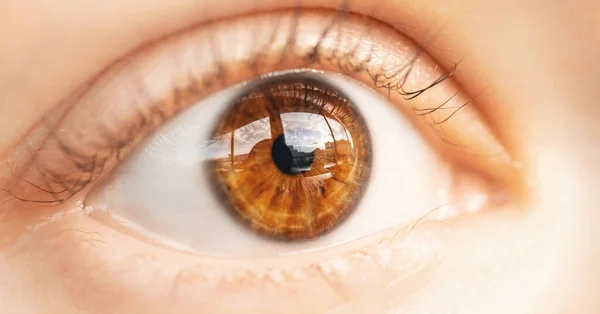 Makro-Foto der Frau braune Augen, Iris-Textur, Wimpern — Stockfoto