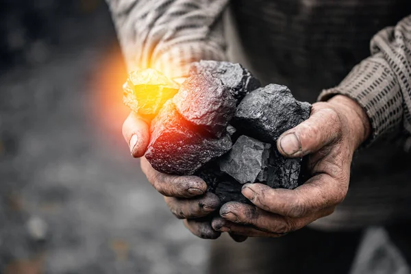 Miner dirty hands holding piece of fossil lignite coal mine