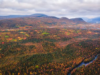Sarı ve kırmızı ağaçlar ve mavi nehir manzaralı sonbahar ormanı