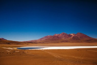 Altiplano dağları Eduardo Avaroa, salar de uyuni Bolivya rezervinde laguna