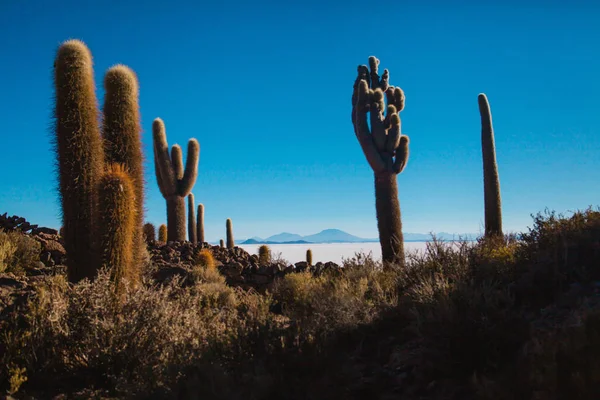 Salar Uyuni Bolivia Salt Flat — Stock Photo, Image