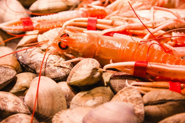 Zeevruchten Vis Garnalen Boqueria Markt Barcelona Spanje — Stockfoto