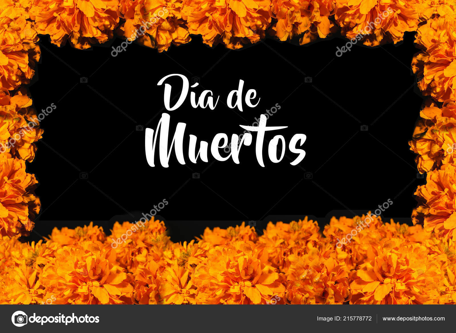 Dia Los Muertos Flor Cempasuchil Day Dead Offering Mexico Stock Photo by  ©marcoscastillo 215778772