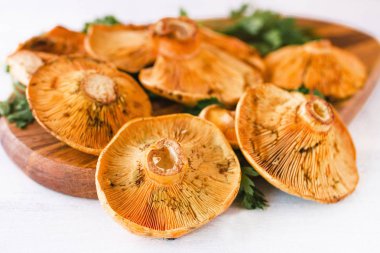 robellons mantar veya rovellons tomurcukları beyaz zemin üzerine sarı renkte