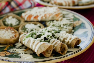Taco dorados, börek de pollo, tavuk tako ve ev yapımı baharatlı Salsa Meksika Meksika yemeği