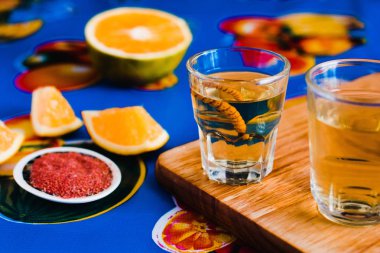 Mezcal vurdu biber tuz ve agav solucan, Meksika Meksika içki ile