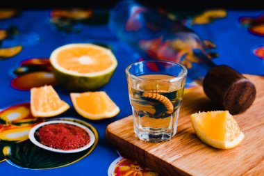 Mezcal vurdu biber tuz ve agav solucan, Meksika Meksika içki ile