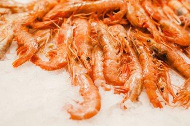 Karides, balık pazarında buz karides