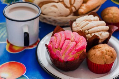 Manteconchas, tatlı Meksika ekmeği, Meksika'da geleneksel fırın, Meksika hamur işleri concha