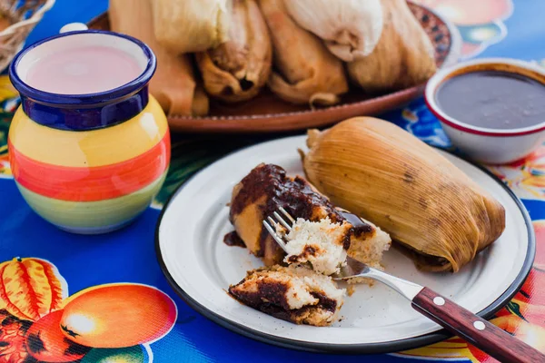 Tamales mexico, tamal con salsa mole, comida mexicana, comida tradicional en México —  Fotos de Stock