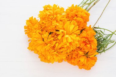 flor de cempasuchil, Ölü Meksika Günü 'nde Meksika çiçekleri