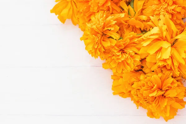 Flor de cempasuchil, flores mexicanas en el Día de los Muertos —  Fotos de Stock