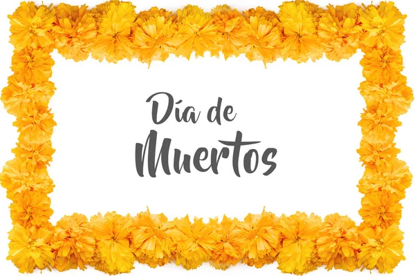 Marco de flores de Cempasuchil, flor mexicana del día de los muertos en México —  Fotos de Stock