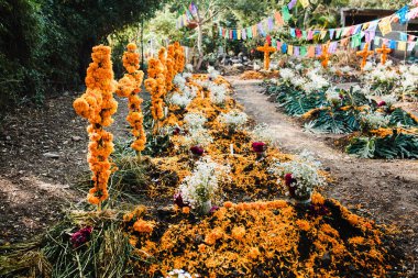 Dia de los Muertos Meksika, Cempasuchil çiçekler Ölüm günü, Meksika mezarlığı