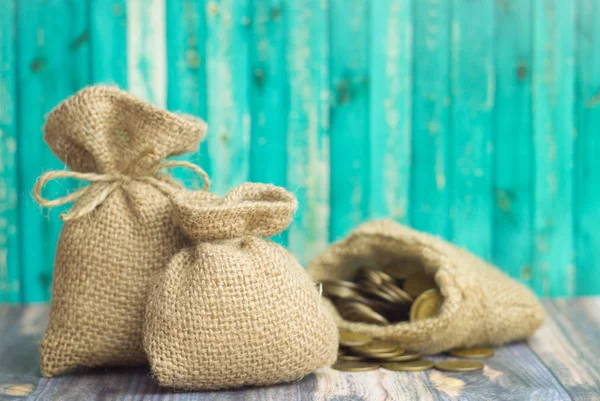 Dolar işareti ve çanta sikkeleri üzerinde mavi arka plan ile bir para çantası. Kredi veya iş ekonomi kavramı