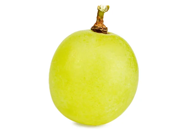 Uma uva isolada no fundo branco close-up — Fotografia de Stock