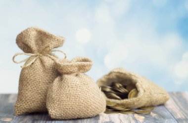 Dolar işareti ve çanta sikkeleri üzerinde mavi arka plan ile bir para çantası. Kredi veya iş ekonomi kavramı