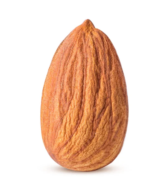 Almond Isolated White Background — Stock Photo, Image