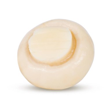 Salamura edilmiş mantar şampiyonu beyaz arka planda izole edilmiş.