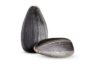 Beyaz arka planda izole edilmiş iki siyah ayçekirdeği.