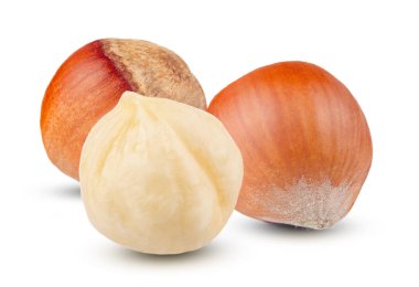 Beyaz arka planda üç taze fındık.