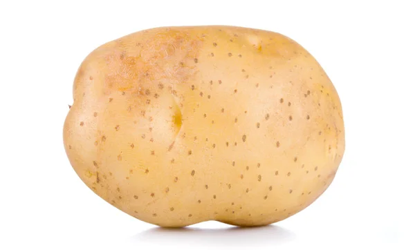 One Raw Potato Isolated White Background — Stock Photo, Image